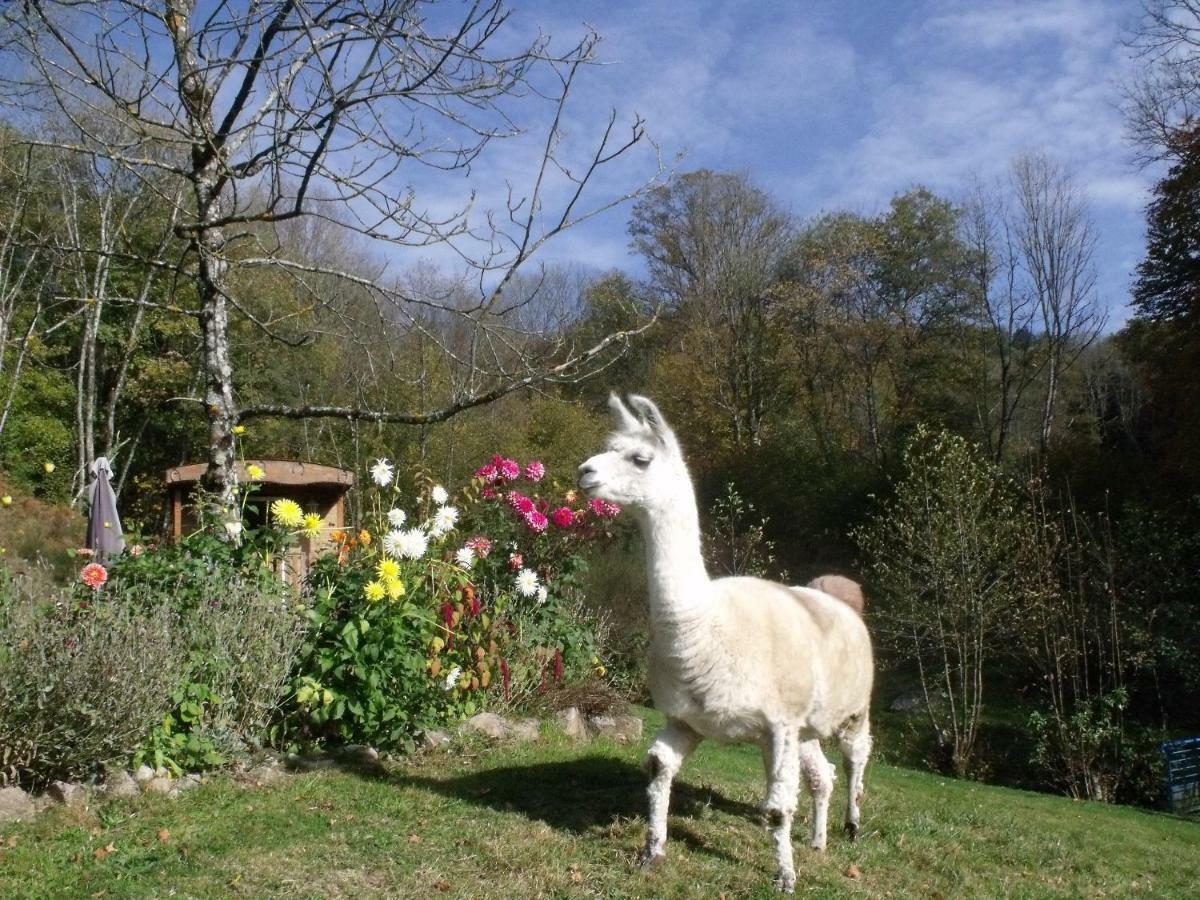 Le Domaine Du Chatelet Ferdrupt Екстер'єр фото
